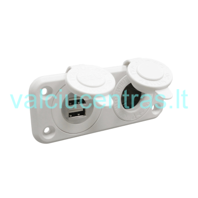 Panel with dual USB port and socket